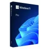 MICROSOFT Windows 11 Pro 64bit - 1 litsents - Win - inglise keel (rahvusvaheline) - USB-mälupulk