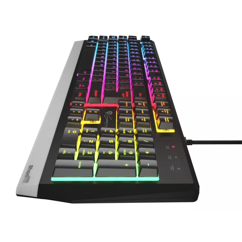 GENESIS Rhod 300 RGB klaviatuur mängudele USB QWERTY inglise must
