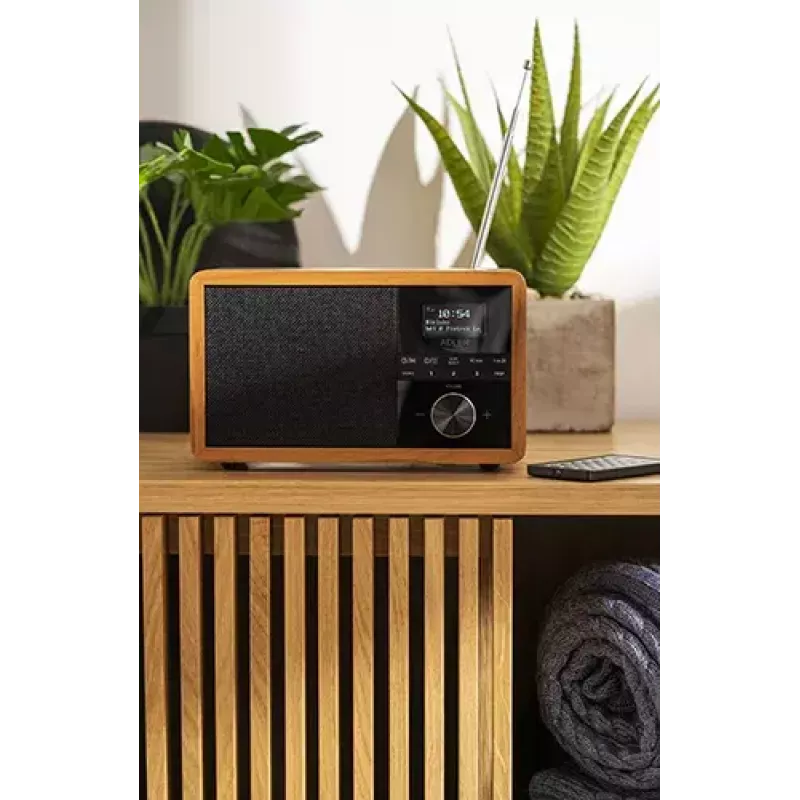 Kaasaskantav raadio Adler AD 1184 DAB+/FM/AM digitaaltuuneriga, Bluetooth 5.0, 15W, SD/USB, äratuskell, must/puit