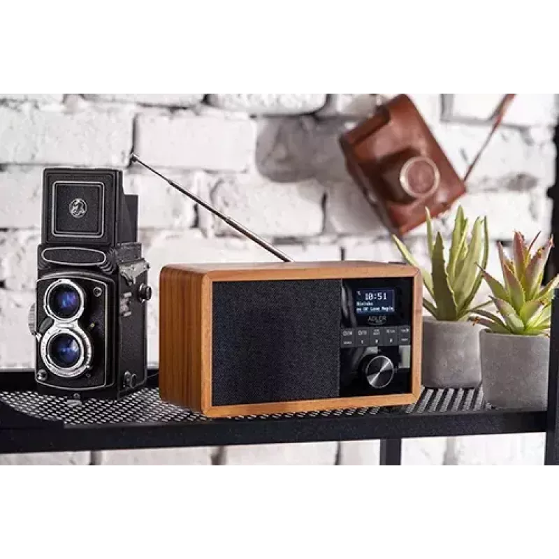 Kaasaskantav raadio Adler AD 1184 DAB+/FM/AM digitaaltuuneriga, Bluetooth 5.0, 15W, SD/USB, äratuskell, must/puit