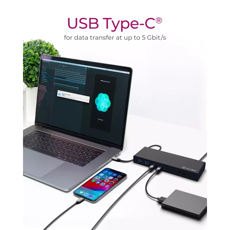 ICY BOX IB-DK2245AC Juhtmega USB 3.2 Gen 1 (3.1 Gen 1) Type-C Must