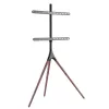 Põranda-TV-kinnitus TECHLY ICA-TR18SAM 45–65-tollisele (114,3–165,1 cm), VESA 200x200–600x400, kandevõime 32 kg, pähkel