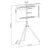 Põranda-TV-kinnitus TECHLY ICA-TR18SAM 45–65-tollisele (114,3–165,1 cm), VESA 200x200–600x400, kandevõime 32 kg, pähkel