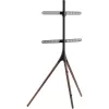 Põranda-TV-kinnitus TECHLY ICA-TR18SAM 45–65-tollisele (114,3–165,1 cm), VESA 200x200–600x400, kandevõime 32 kg, pähkel