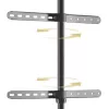 Põranda-TV-kinnitus TECHLY ICA-TR18SAM 45–65-tollisele (114,3–165,1 cm), VESA 200x200–600x400, kandevõime 32 kg, pähkel