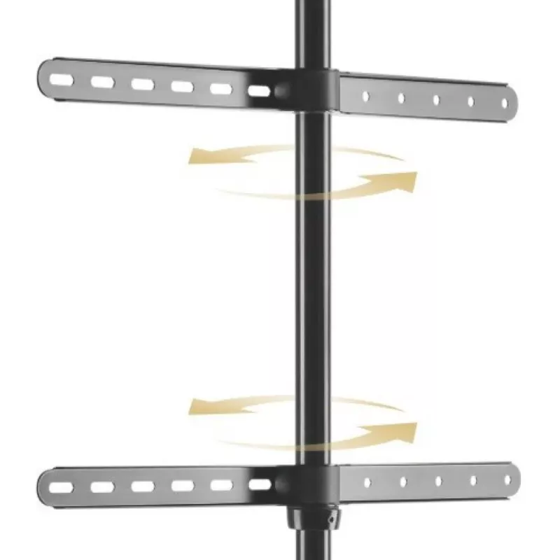 Põranda-TV-kinnitus TECHLY ICA-TR18SAM 45–65-tollisele (114,3–165,1 cm), VESA 200x200–600x400, kandevõime 32 kg, pähkel