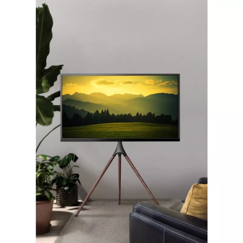 Põranda-TV-kinnitus TECHLY ICA-TR18SAM 45–65-tollisele (114,3–165,1 cm), VESA 200x200–600x400, kandevõime 32 kg, pähkel