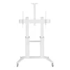 Techly ICA-TR49W multimeediakäru/statiiv valge lameekraanile