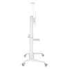 Techly ICA-TR49W multimeediakäru/statiiv valge lameekraanile