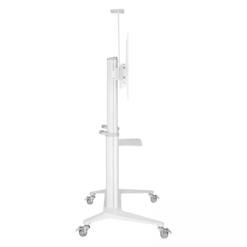 Techly ICA-TR49W multimeediakäru/statiiv valge lameekraanile