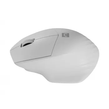 Juhtmeta Bluetooth optiline hiir NATEC Siskin 2 — 1600 DPI, Bluetooth 5.0, paremakäeline, valge
