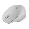Juhtmeta Bluetooth optiline hiir NATEC Siskin 2 — 1600 DPI, Bluetooth 5.0, paremakäeline, valge