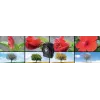 Kompaktkaamera Technaxx TX-164 2 MP CMOS 1920 x 1080 pikslit Must