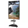 Techly põrandaalus riiuliga kärul telerile LCD/LED/Plasma 37-70 tolli hõbedane