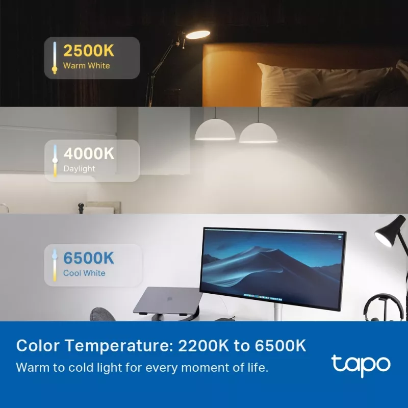 TP-Link Tapo nutipirn, mitmevärviline, Matter, nutipirn, Wi-Fi/Bluetooth, valge, 802.11b, 802.11g, Wi-Fi 4 (802.11n), WPA-PSK, WPA2-PSK, WPA3-SAE, LED