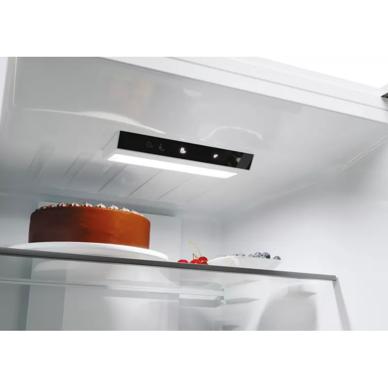 Candy Fresco CNCQ2T618EW eraldiseisev 355 L valge