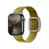 APPLE 42mm Chartreuse Modern Buckle - Large