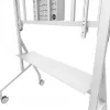 Neomounts FL50-575WH1 telerikäru 65-115 tolli - kiire paigaldus - TÜV