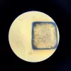 Haridusmikroskoop Liscianigiochi Im A Genius 304-PL97388 — laste optiline komplekt suurendusega õppimiseks