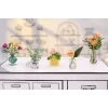 Miniverse - Make It Mini Botanicals, 8 a, mitmevärviline, plast