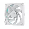 FRACTAL DESIGN Fan Momentum 14 RGB Valge