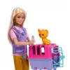 Moe nukk Mattel Barbie HRG50 Mitmevärviline 3+ aastat