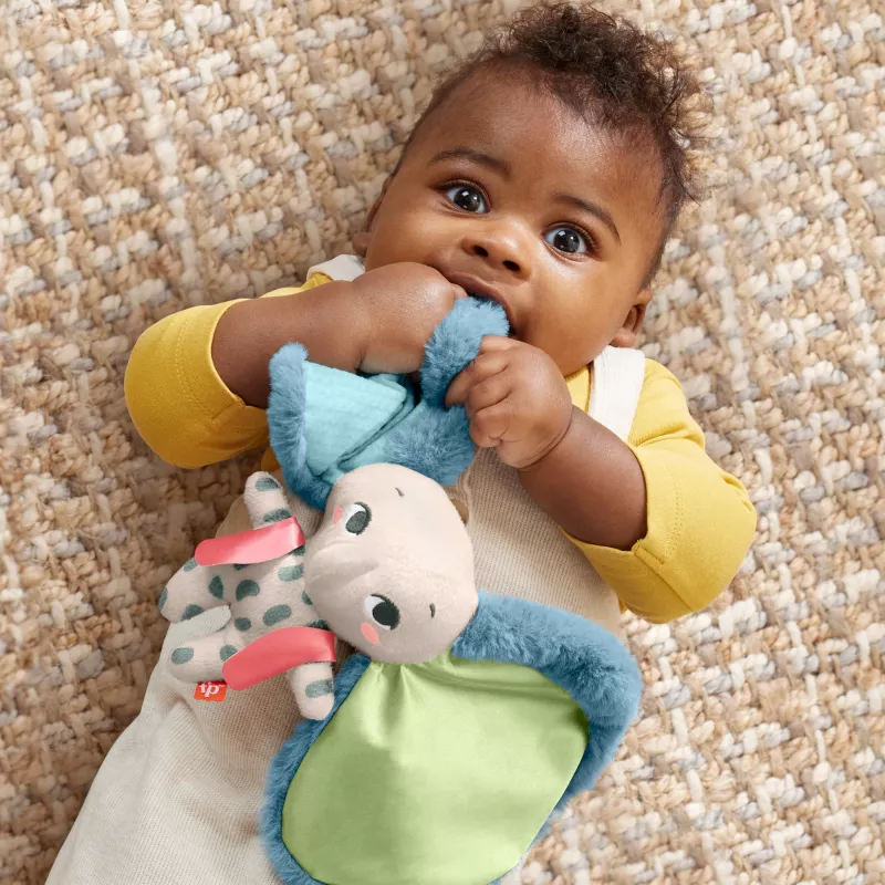 Pehme mänguasi MATTEL Fisher-Price Planet Friends Giant Ear Elephant HKD63, plüüsist elevandikaaslane