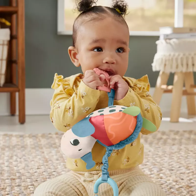 Turtle Fisher-Price Sea Me Bounce Turtle Soovitatav vanus 0 kuni 2 aastat