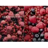 Sisseehitatav külmik Electrolux LNT6NE18S — 257 L, puutetundlik juhtimine, alumine sügavkülm, No Frost, valge