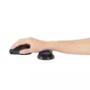 Kensington õhuke Duo Gel hiir/Trackball Wrist Rest - sinine, sinine, geel, termoplastne polüuretaan (TPU), Hiina, MIL-STD-810H Method 504.3 Contamination by Fluids, 192 mm, 72 mm