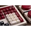 Mehaaniline klaviatuur 8Bitdo RET00493 RGB taustvalgustusega kompaktne