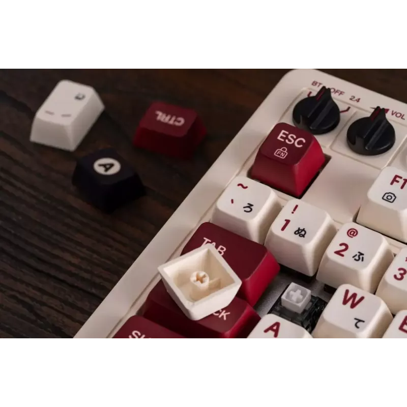 Mehaaniline klaviatuur 8Bitdo RET00493 RGB taustvalgustusega kompaktne