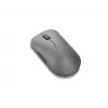 Lenovo Pro Plus 6050 hiir Kontor Mõlemakäeline RF-juhtmevaba + Bluetooth Optiline 2400 DPI