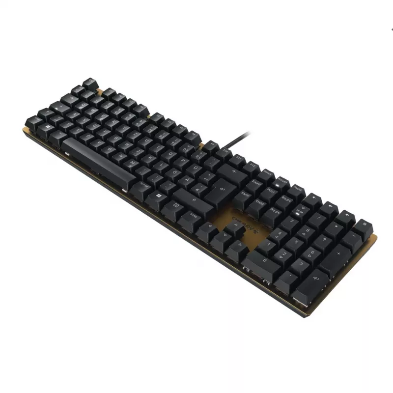 CHERRY KC 200 MX klaviatuur universaalne USB QWERTZ saksa must, pronks