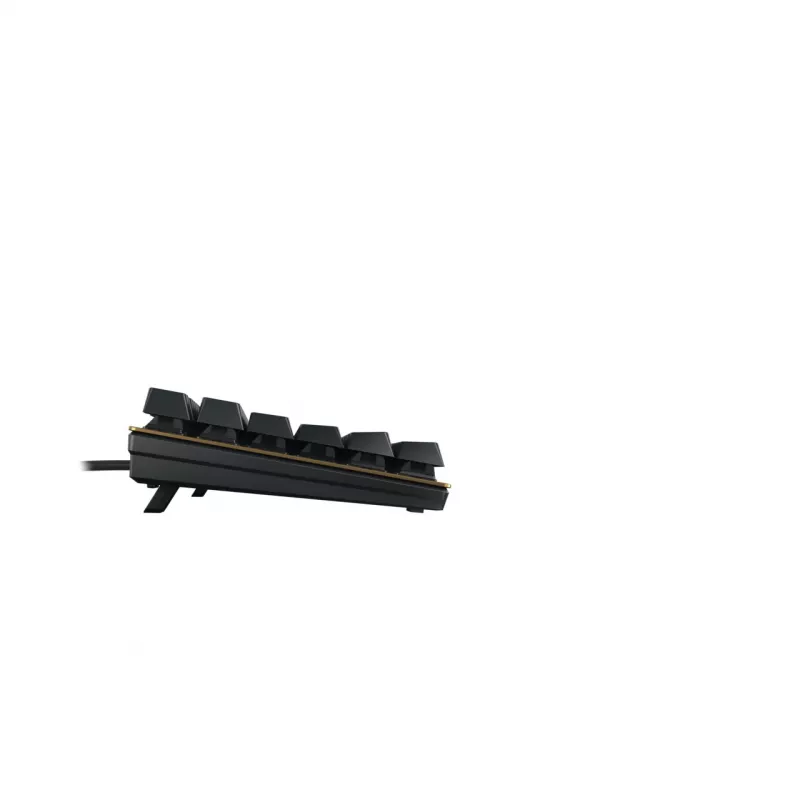 CHERRY KC 200 MX klaviatuur universaalne USB QWERTZ saksa must, pronks