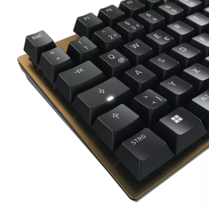 CHERRY KC 200 MX klaviatuur universaalne USB QWERTZ saksa must, pronks