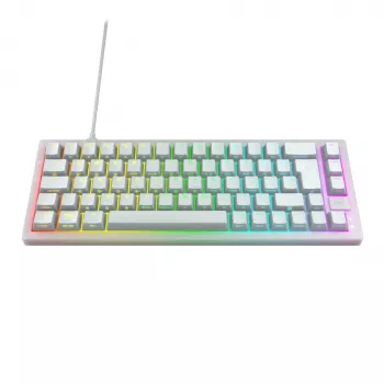CHERRY K5V2 kompaktne klaviatuur mängimiseks USB QWERTZ saksa valge 68 klahvi RGB LED