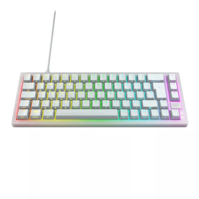 CHERRY K5V2 kompaktne klaviatuur mängimiseks USB QWERTZ saksa valge 68 klahvi RGB LED