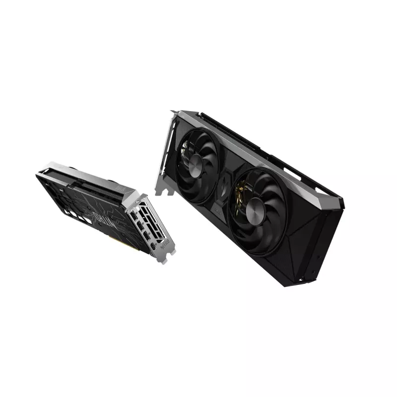Graafikakaart Intel Arc B570 10 GB GDDR6