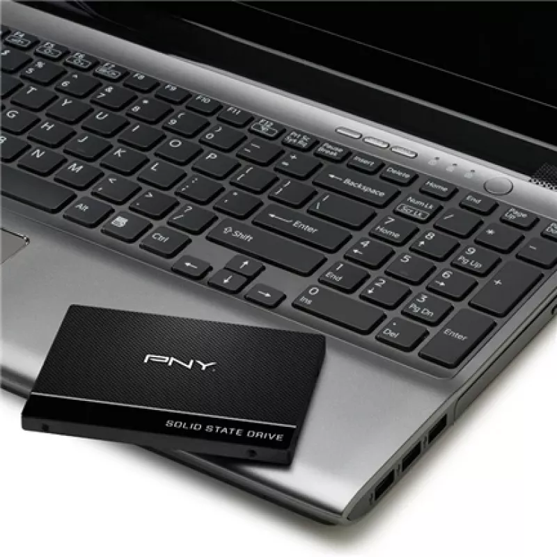 SSD ketas PNY 250 GB 2,5 tolli Serial ATA III SSD7CS900-250-RB