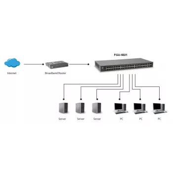 LevelOne 50-pordiline Fast Etherneti kommutaator, 2 x Gigabit SFP/RJ45 Combo