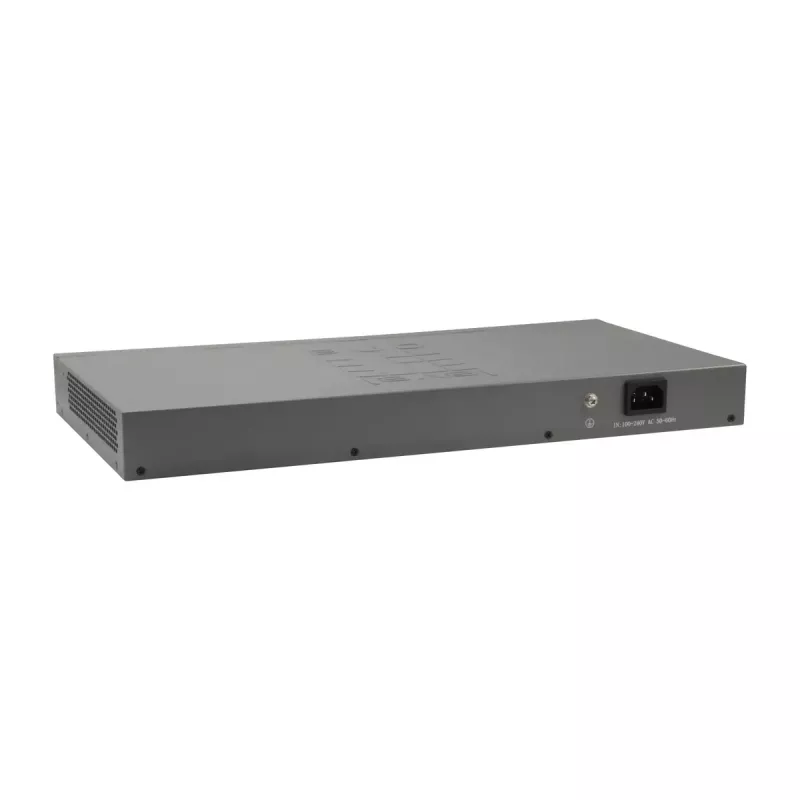 LevelOne 50-pordiline Fast Etherneti kommutaator, 2 x Gigabit SFP/RJ45 Combo