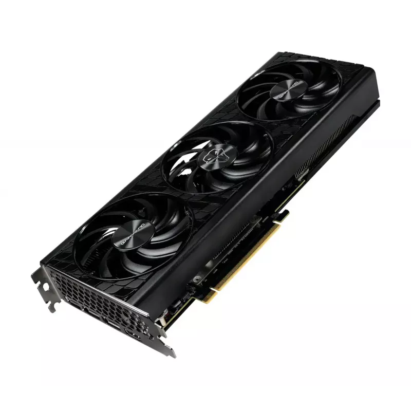 Grafikakaart Gainward GeForce RTX 5070 12 GB GDDR7