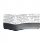 CHERRY KC 4500 ERGO klaviatuur Universaalne USB QWERTZ Saksa Valge