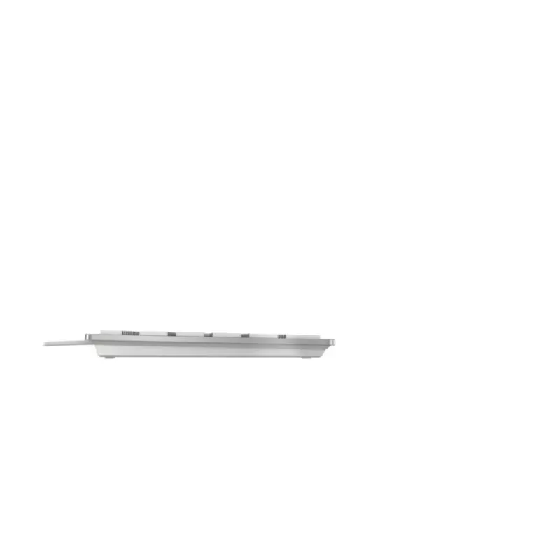 CHERRY KC 6000C FOR MAC klaviatuur universaalne USB QWERTZ saksa hõbedane