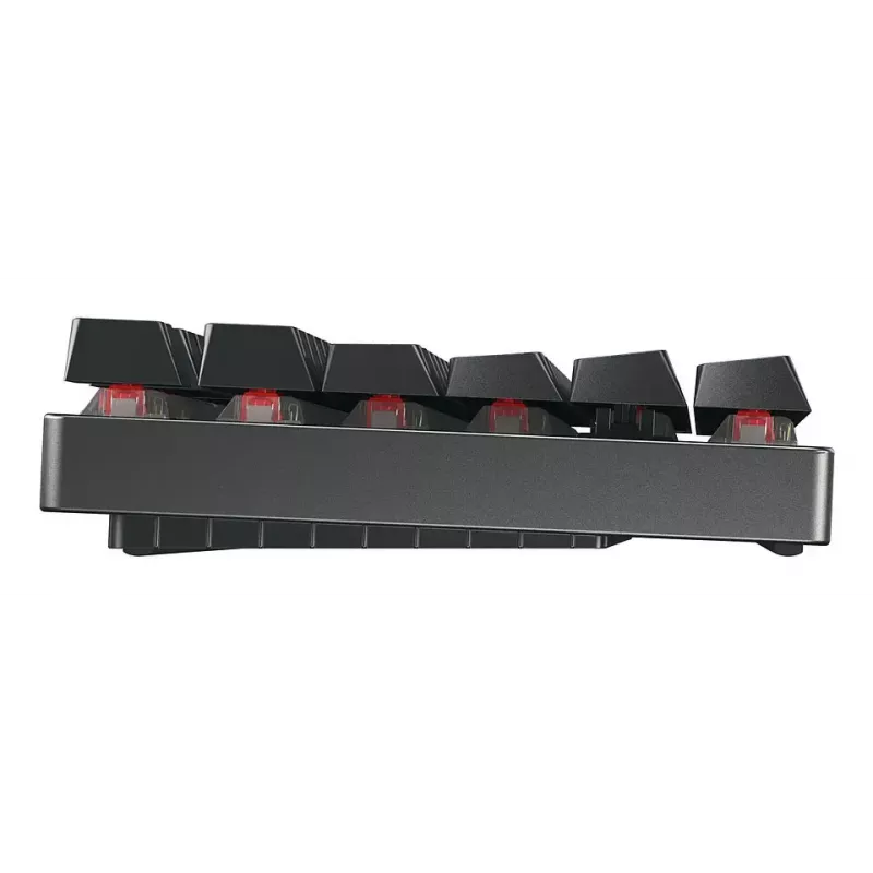 CHERRY MX 8.2 TKL Wireless RGB klaviatuur Gaming USB + RF Wireless + Bluetooth QWERTZ Saksa must