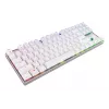 CHERRY MX 8.2 TKL Wireless RGB klaviatuur Gaming USB + RF Wireless + Bluetooth QWERTZ Saksa valge