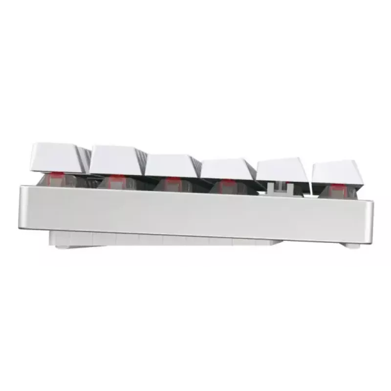 CHERRY MX 8.2 TKL Wireless RGB klaviatuur Gaming USB + RF Wireless + Bluetooth QWERTZ Saksa valge