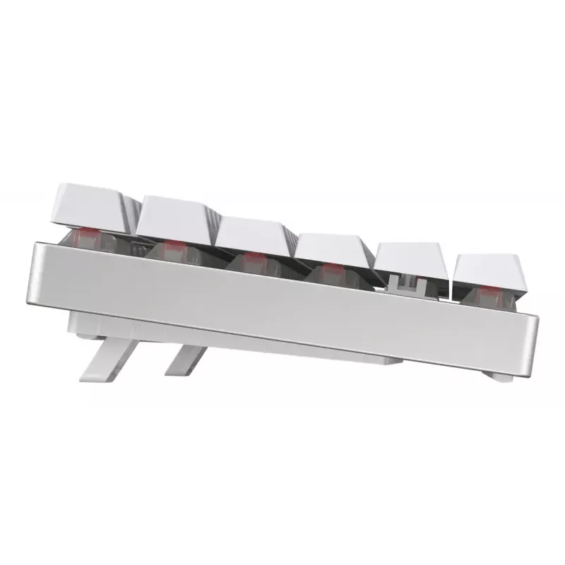 CHERRY MX 8.2 TKL Wireless RGB klaviatuur Gaming USB + RF Wireless + Bluetooth QWERTZ Saksa valge