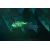 Mänguklaviatuur Razer RZ03-03931000-R3G1